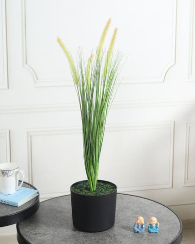 Dogtail Artificial Plant with Pot | 2.5 Feet