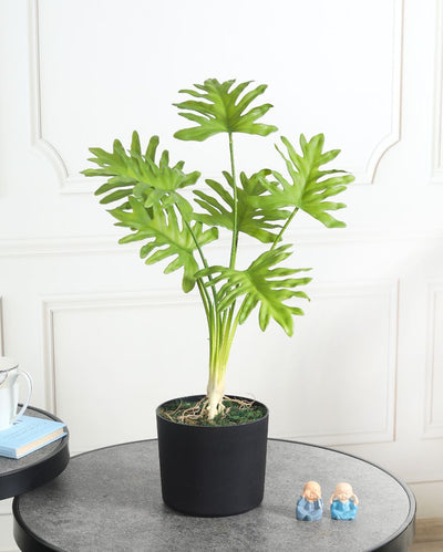 Beautiful Monstera Green Artificial Plant with Pot | 2 Feet