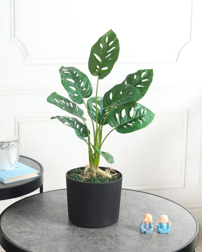 Posh Monstera Green Artificial Plant with Pot | 1.5 Feet