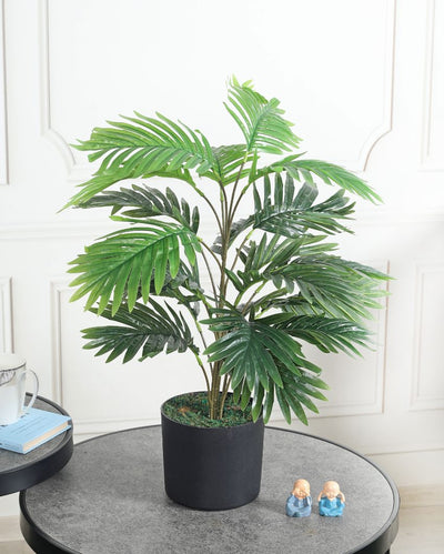 Arica Green Artificial Plant with Pot | 2.5 feet