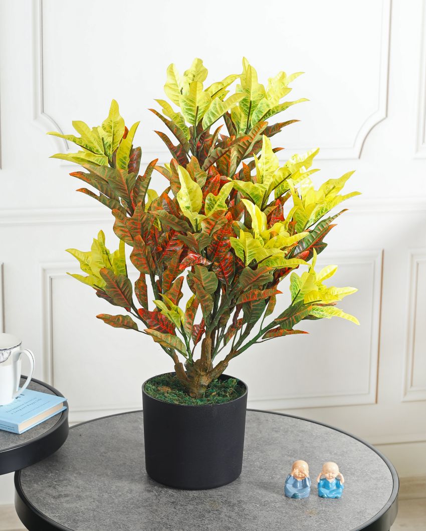 Croton Multicolor Artificial Plant with Pot | 2 Feet