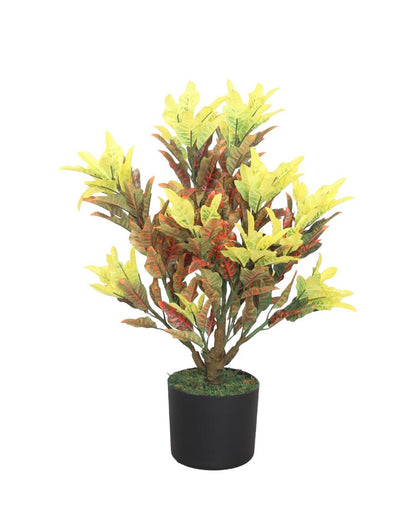 Croton Multicolor Artificial Plant with Pot | 2 Feet