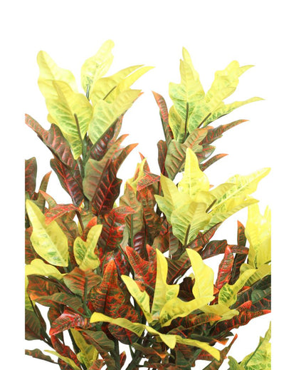 Croton Multicolor Artificial Plant with Pot | 2 Feet