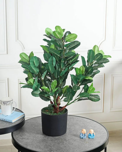 Quercus Green Artificial Plant with Pot | 2 Feet