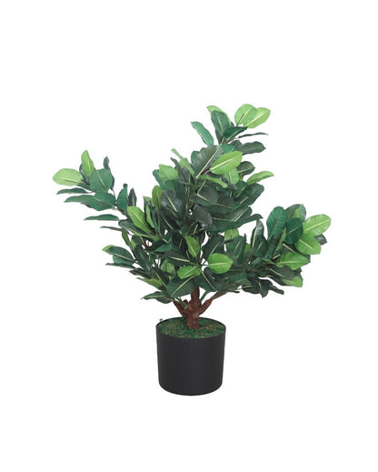 Quercus Green Artificial Plant with Pot | 2 Feet