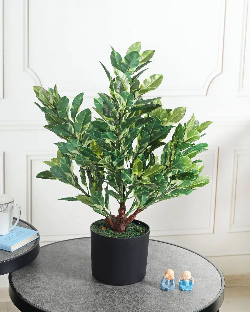 Quercus White Artificial Plant with Pot | 2 Feet