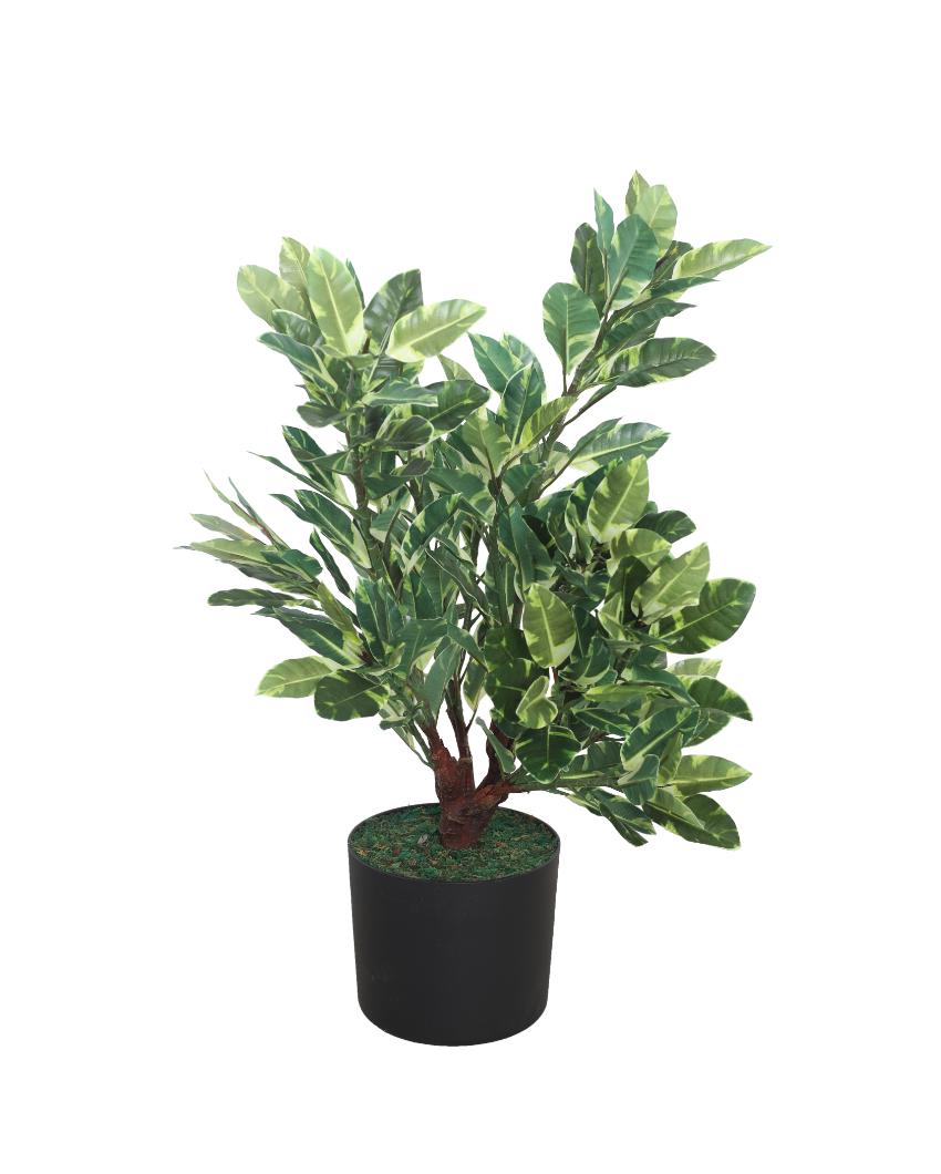 Quercus White Artificial Plant with Pot | 2 Feet