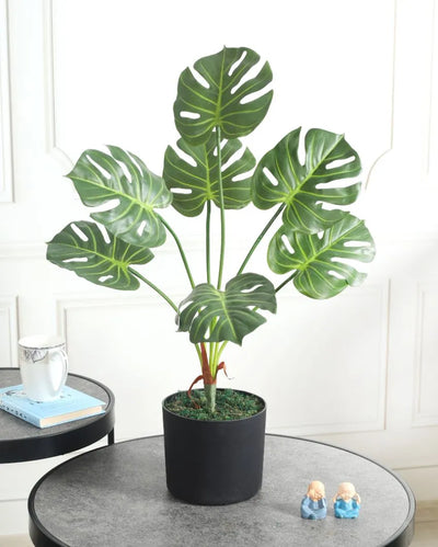 Real Touch Monstera Green Artificial Plant with Pot | 2 Feet