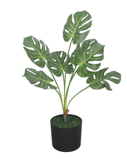 Real Touch Monstera Green Artificial Plant with Pot | 2 Feet