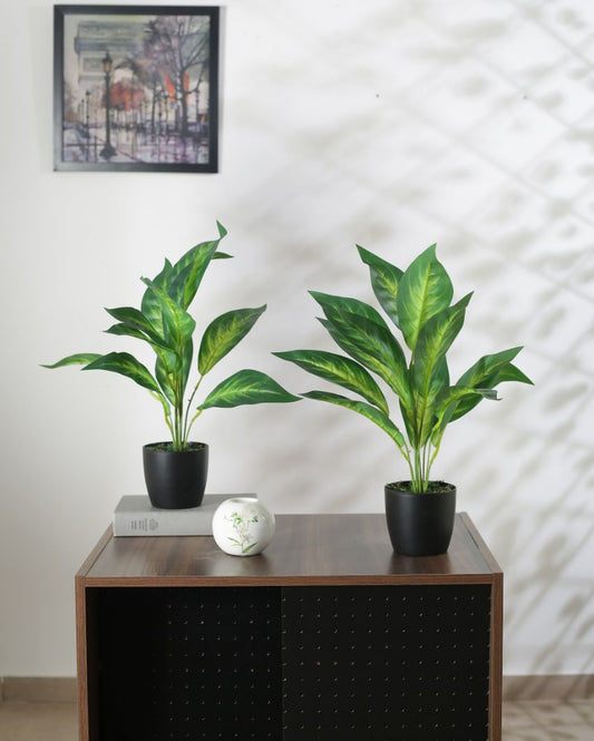 Artificial Dracaena Plant Mini Bush With Black Pot | 20 Inches