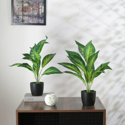 Artificial Dracaena Plant Mini Bush With Black Pot | 20 Inches
