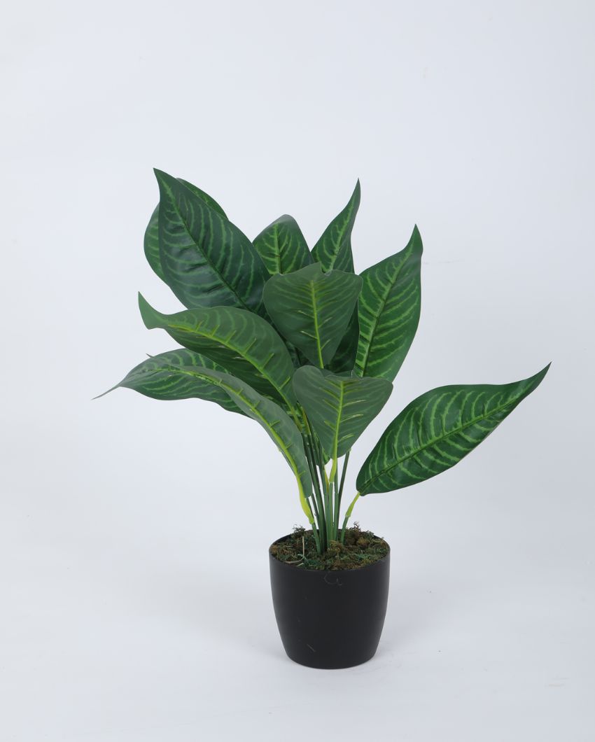 Artificial Green Croton Plant Mini Bush With Black Pot | Set Of 2 | 20 Inches