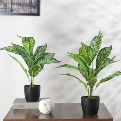 Artificial Jale Croton Plant Mini Bush With Black Pot | Set Of 2 | 20 Inches