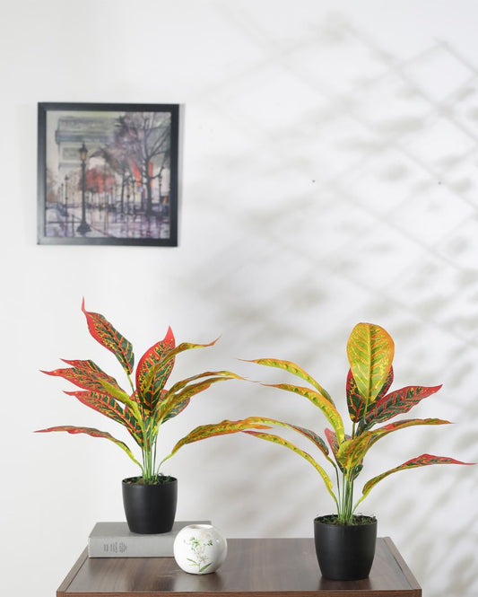Artificial Red Croton Plant Mini With Black Pot | Set Of 2 | 20 Inches