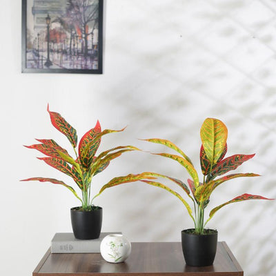 Artificial Red Croton Plant Mini With Black Pot | Set Of 2 | 20 Inches