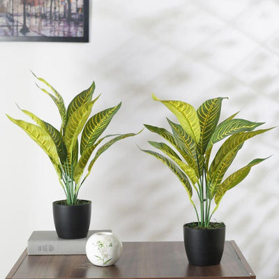 Artificial Yellow Croton Plant Mini Bush With Black Pot | Set Of 2 | 20 Inches