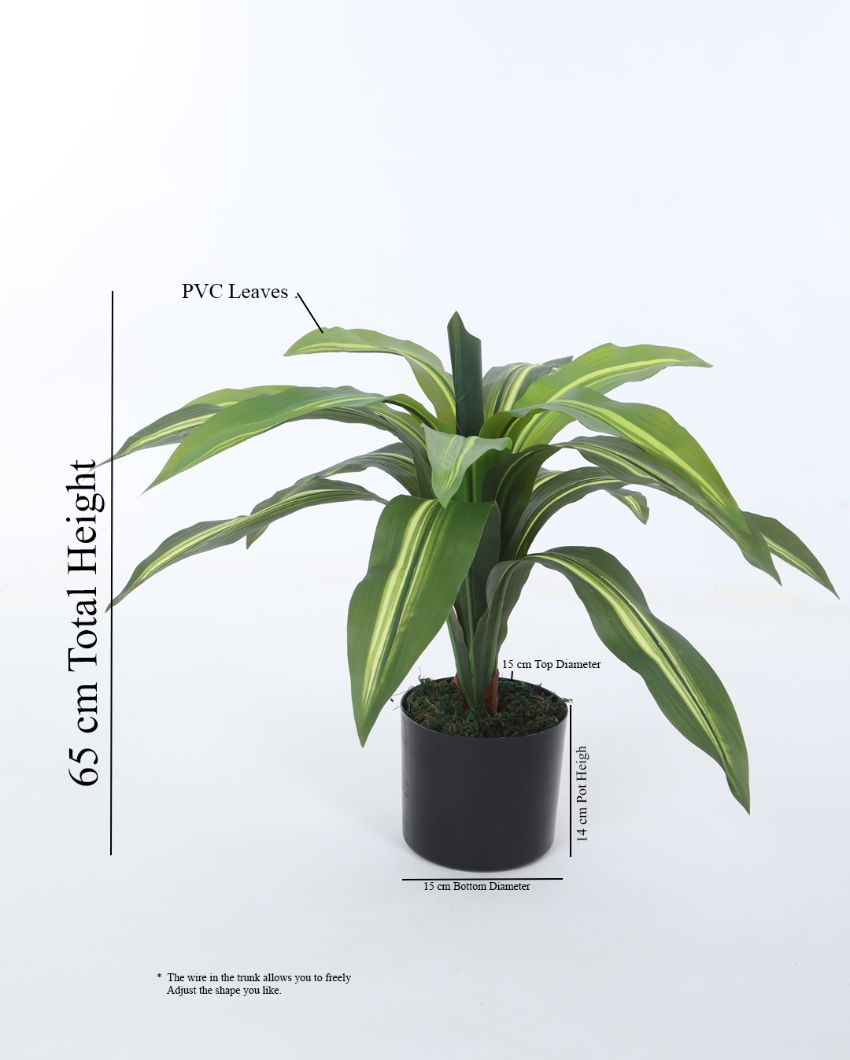 Attractive Artificial Dracaena Plant For Home Décor With Black Pot | 26 Inches