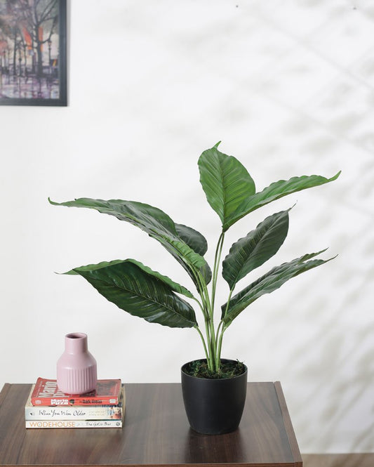 Artificial Green Taro Plant For Home Décor With Black Pot | 26 Inches