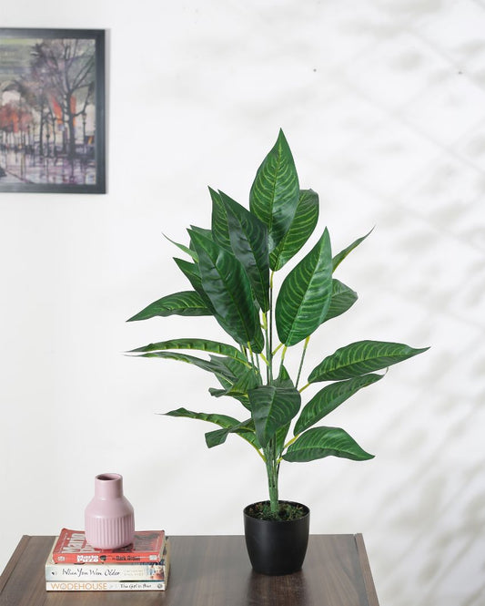 Beautiful Artificial Croton Plant For Home Décor With Black Pot | 28 Inches