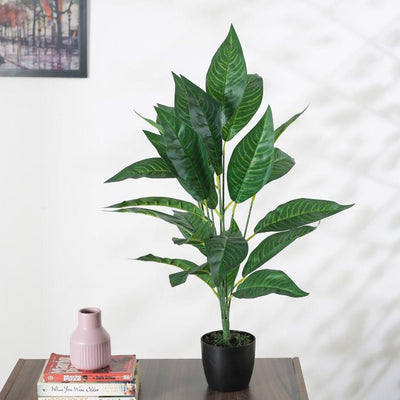 Beautiful Artificial Croton Plant For Home Décor With Black Pot | 28 Inches