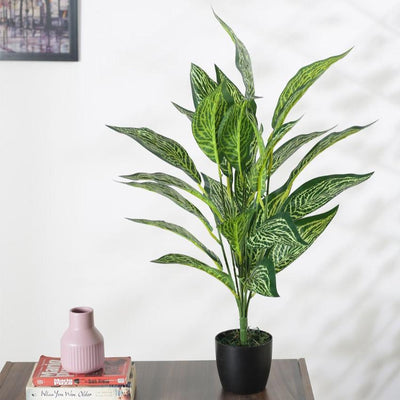 Croton Artificial Plant For Home Décor With Black Pot | 28 Inches