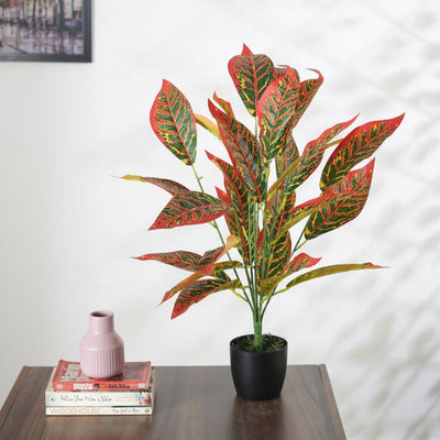 Artificial Croton Plant For Home Décor With Black Pot | 28 Inches