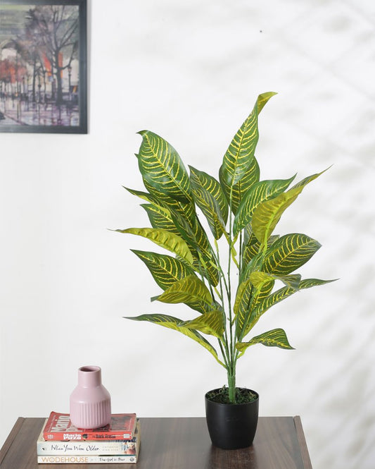 Alli Artificial Croton Plant For Home Décor With Black Pot | 28 Inches