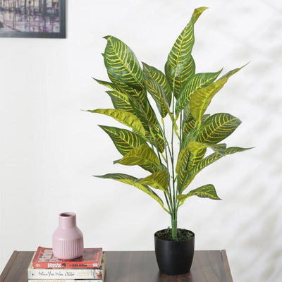 Alli Artificial Croton Plant For Home Décor With Black Pot | 28 Inches