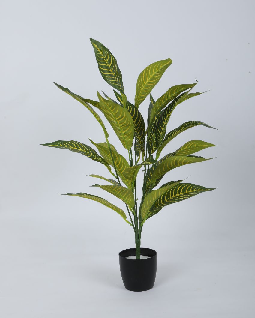 Alli Artificial Croton Plant For Home Décor With Black Pot | 28 Inches