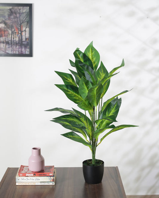 Artificial Dieffenbachia Plant For Home Décor With Black Pot | 28 Inches