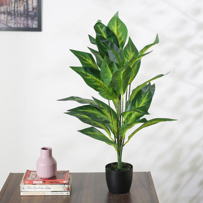 Artificial Dieffenbachia Plant For Home Décor With Black Pot | 28 Inches