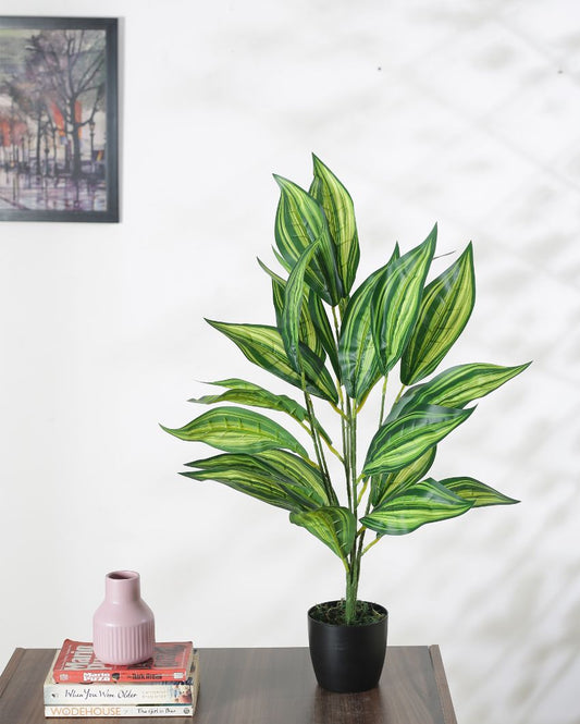 Artificial Dracaena Plant For Home Décor With Black Pot | 28 Inches
