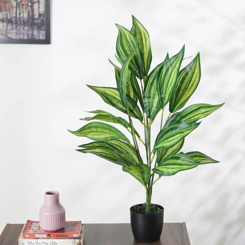 Artificial Dracaena Plant For Home Décor With Black Pot | 28 Inches