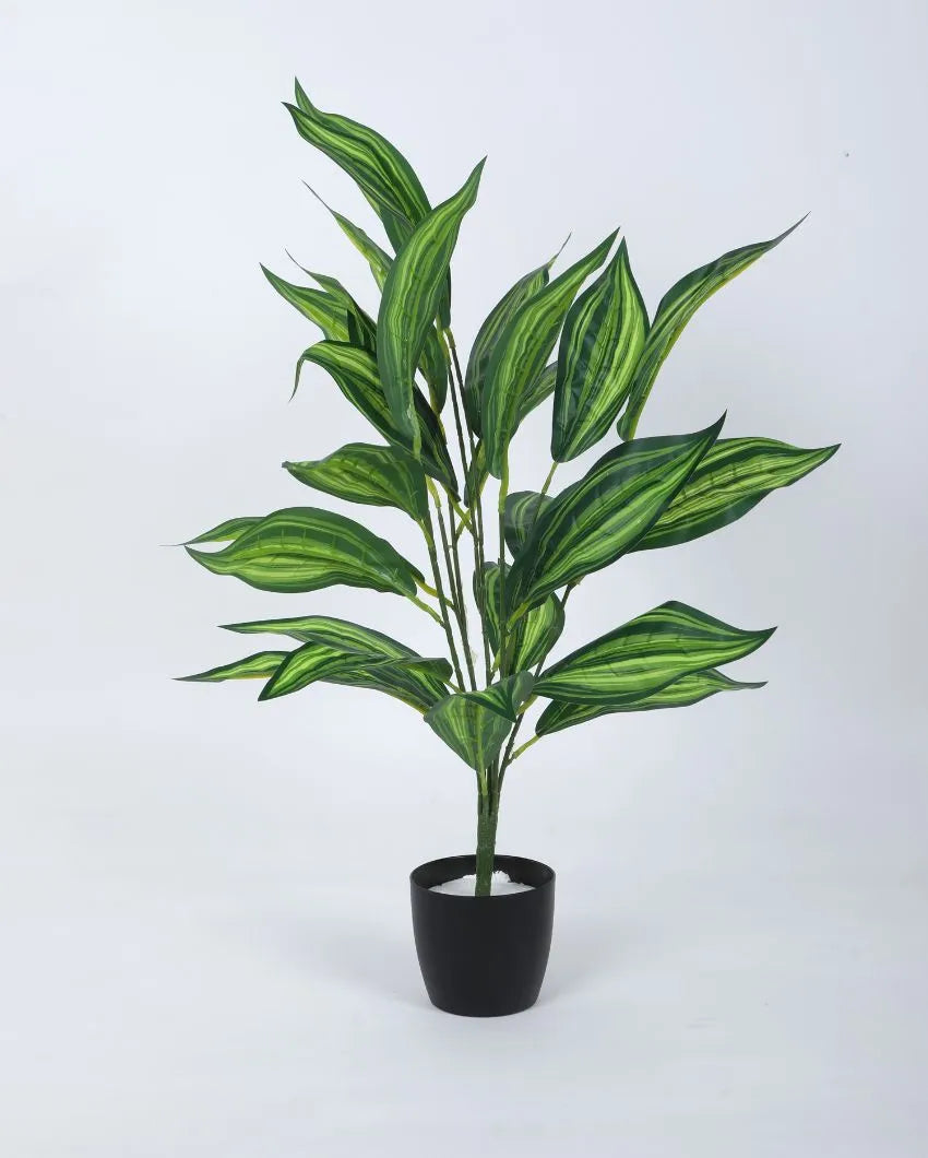 Artificial Dracaena Plant For Home Décor With Black Pot | 28 Inches