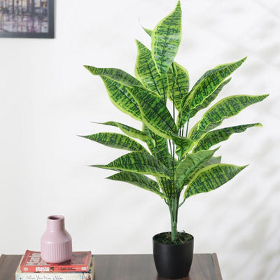 Artificial Snake Plant For Home Décor With Black Pot | 28 Inches