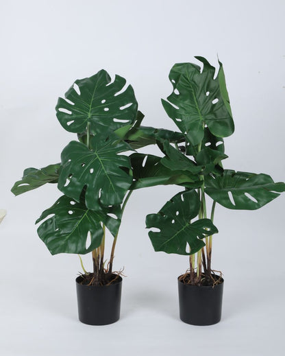 Artificial Real Touch Monstera Plant For Home Décor With Black Pot | 30 Inches Set Of 2