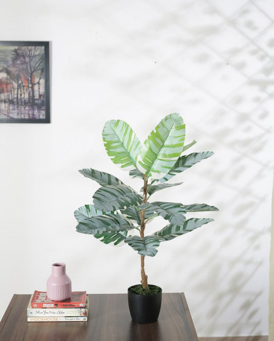 Artificial Banana White Plant With Black Pot For Interior Decor | 30 Inches
