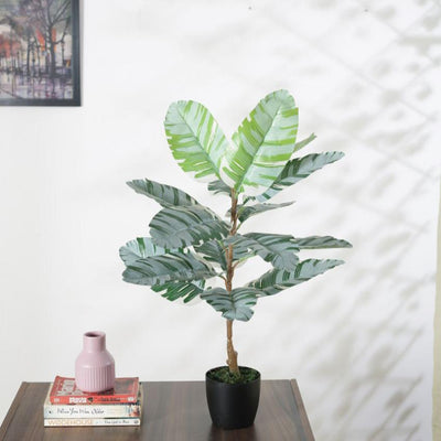 Artificial Banana White Plant With Black Pot For Interior Decor | 30 Inches