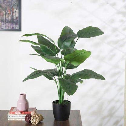 Artificial Green Bananan Plant For Home Décor With Black Pot | 31 Inches