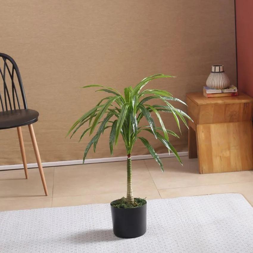 Artificial Dracaena Plant For Home Décor With Black Pot | 31 Inches Green