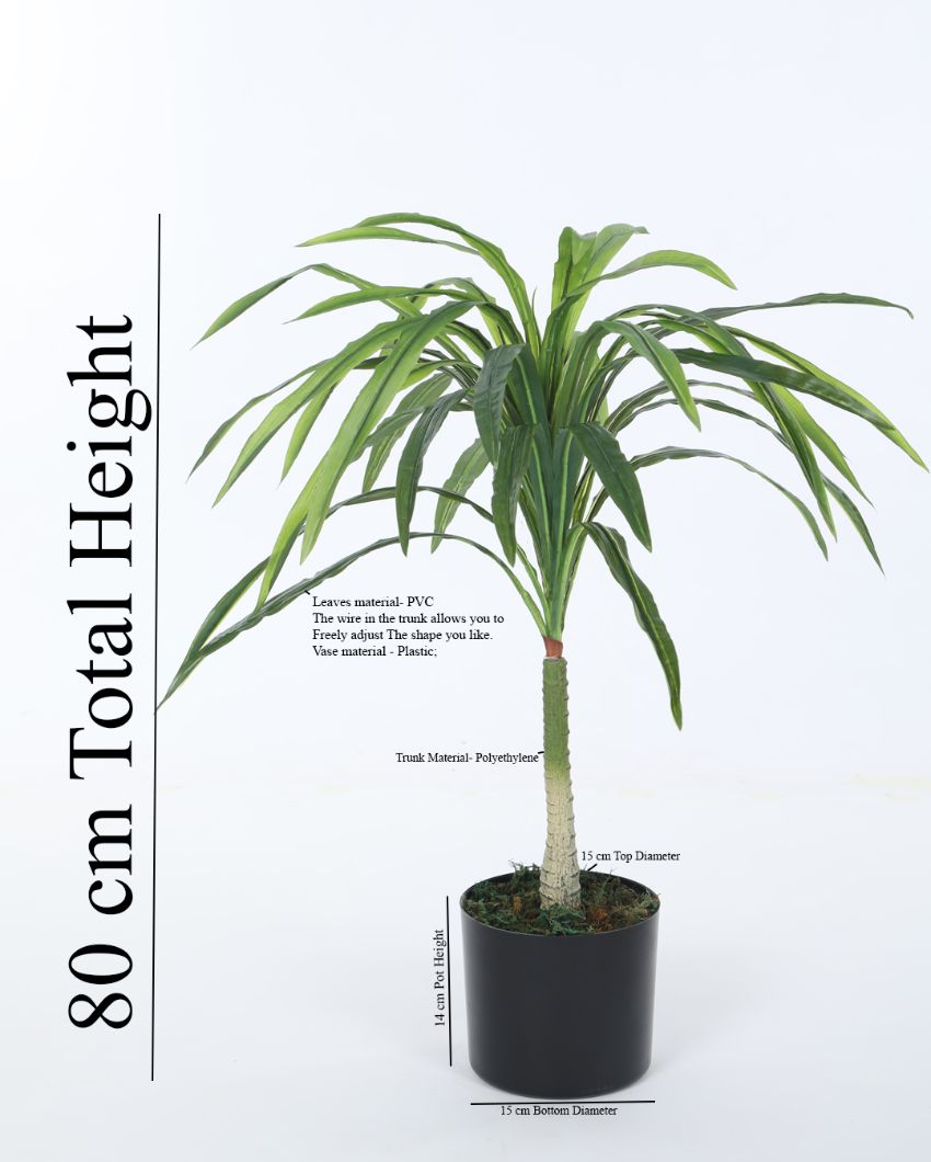 Artificial Dracaena Plant For Home Décor With Black Pot | 31 Inches Green