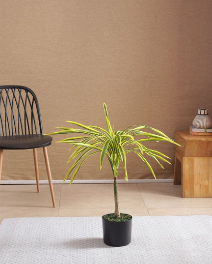 Artificial Dracaena Plant For Home Décor With Black Pot | 31 Inches Yellow