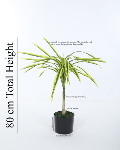 Artificial Dracaena Plant For Home Décor With Black Pot | 31 Inches Yellow