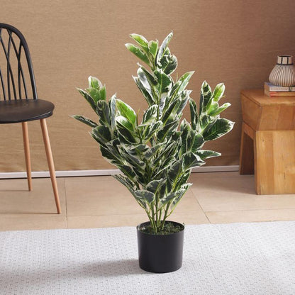 Artificial Real Touch Zebra Plant Ornamental  For Home Décor With Black Pot | 33 Inches