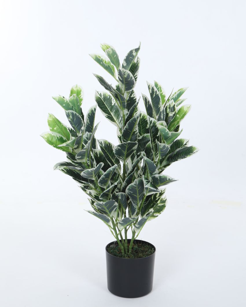 Artificial Real Touch Zebra Plant Ornamental  For Home Décor With Black Pot | 33 Inches