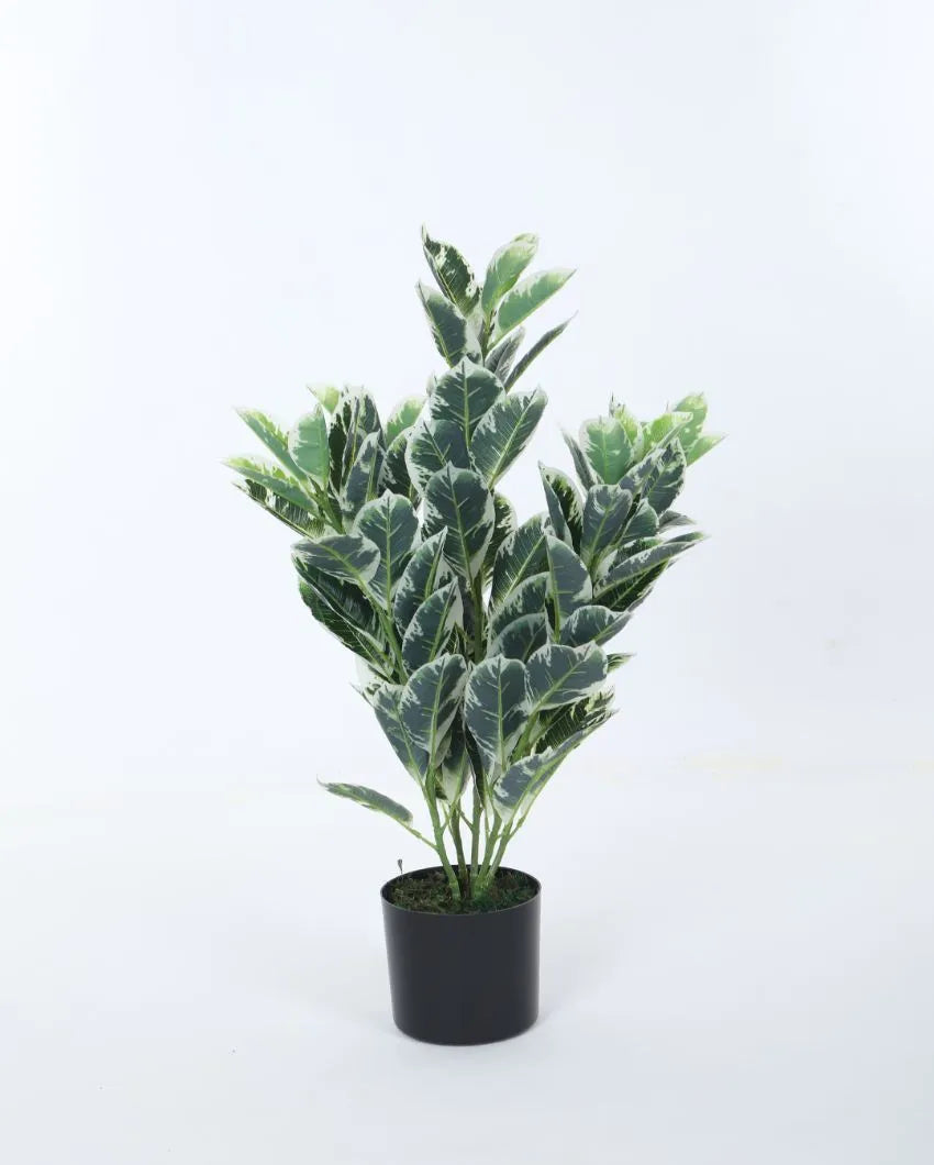 Artificial Real Touch Zebra Plant Ornamental  For Home Décor With Black Pot | 33 Inches