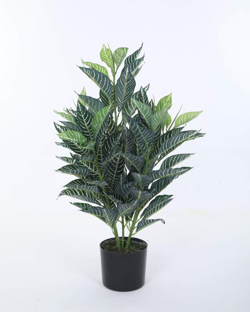 Artificial Real Touch Rubber Plant With Black Pot | 33 Inches