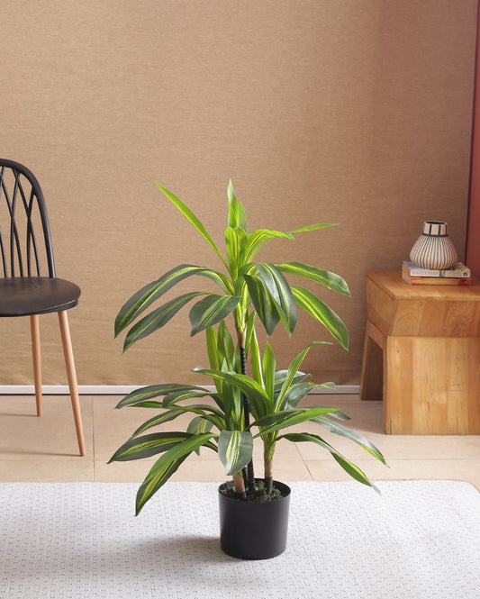Artificial Dracaena Plant For Home Decor With Black Pot | 35 Inches