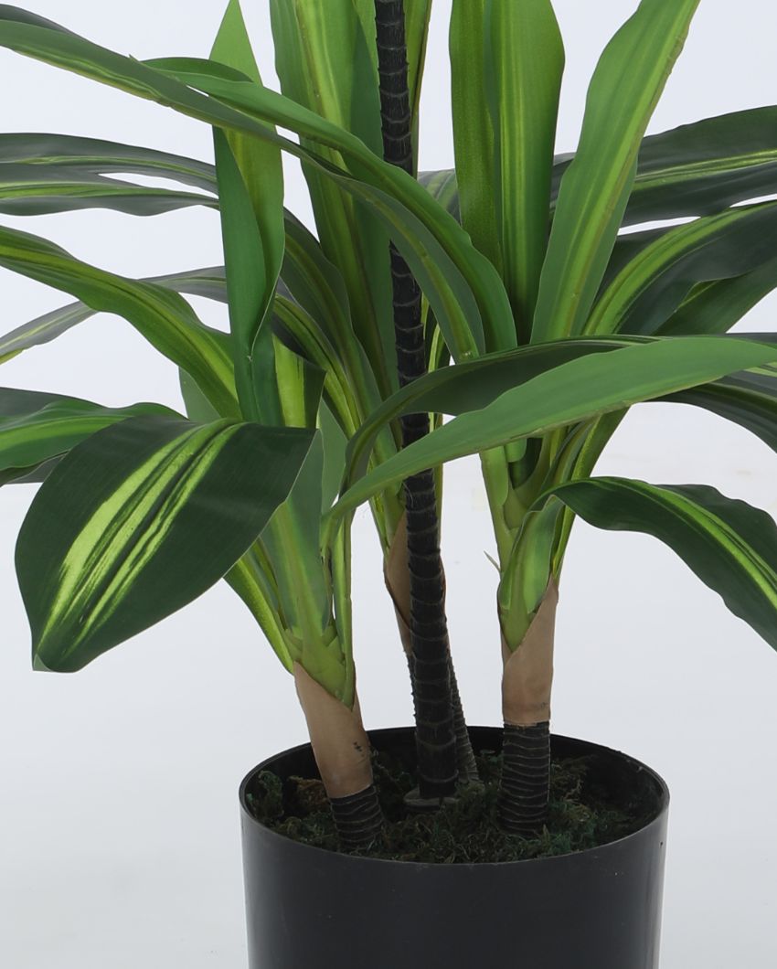 Artificial Dracaena Plant For Home Decor With Black Pot | 35 Inches