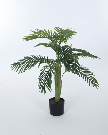 Artificial Areca Palm Plant For Home Décor With Black Pot | 35 Inches